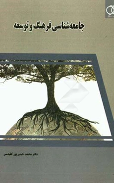 جامعه‌شناسی فرهنگ و توسعه