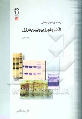 راهنمای نظری و عملی الکتروفورز پروتئین در ژل