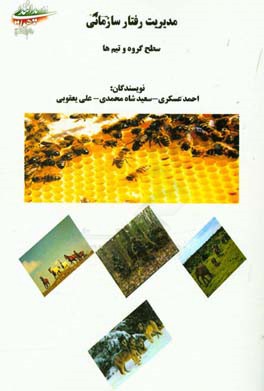 مدیریت رفتار سازمانی: سطح گروه و تیم