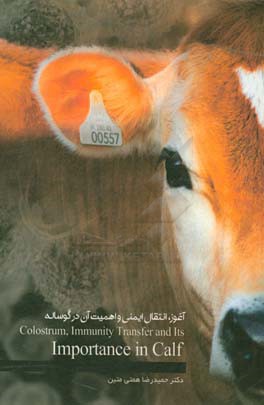 آغوز، انتقال ایمنی و اهمیت آنها در گوساله
