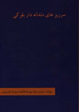 سرریزهای دندانه‌دار بلوکی