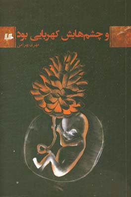 و چشم‌هایش کهربایی بود