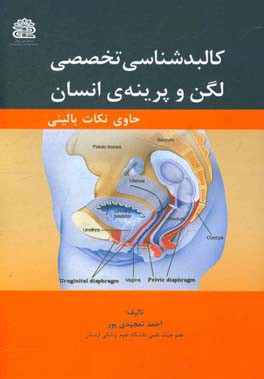 کالبدشناسی تخصصی لگن و پرینه‌ی انسان حاوی نکات بالینی