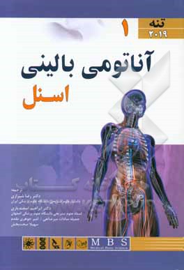 آناتومي باليني اسنل 2019: تنه