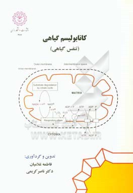 کاتابولیسم گیاهی (تنفس گیاهی)