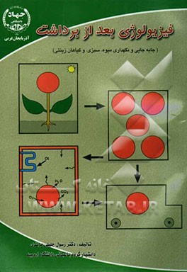 فیزیولوژی بعد از برداشت