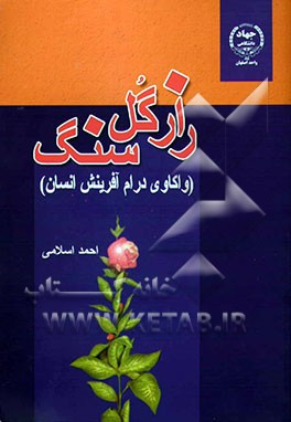 راز گل سنگ (واکاوی درام آفرینش انسان)