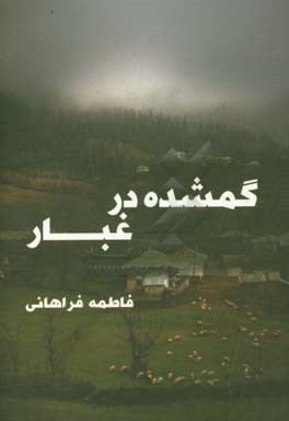 گمشده در غبار