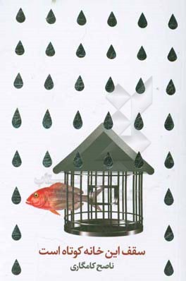 سقف این خانه کوتاه است: مجموعه داستان