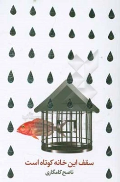 سقف این خانه کوتاه است: مجموعه داستان