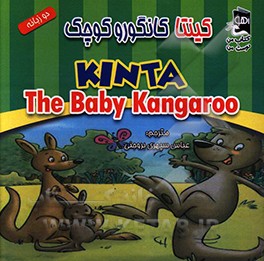 کینتا کانگوروی کوچک