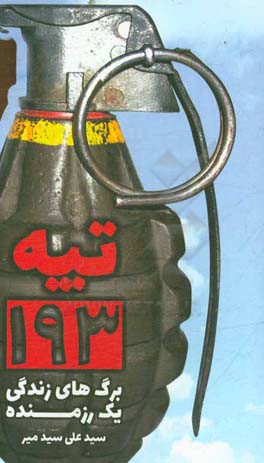 تپه 193 "زیباترین برگ‌های زندگی یک رزمنده"