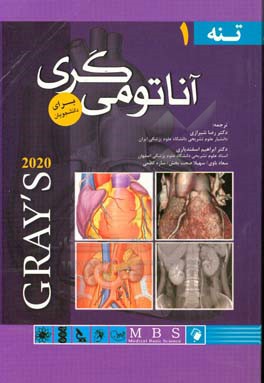 آناتومي گري براي دانشجويان 2020: تنه