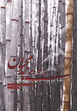 راهی به مجنون: روایت زندگی شهید سیدعباس جولایی