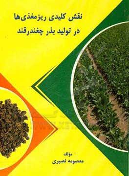 نقش کلیدی ریز مغذی‌ها در تولید بذر چغندرقند