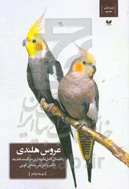 عروس هلندی: راهنمای کامل نگهداری، مراقبت، تغذیه، تکثیر و آموزش سخن‌گویی