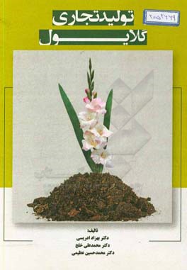 تولید تجاری گلایول = Commercial production of gladiolus