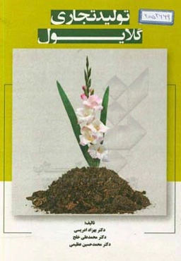 تولید تجاری گلایول = Commercial production of gladiolus