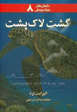 گشت لاک‌پشت