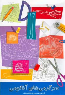 سرگرمی‌های آناتومی