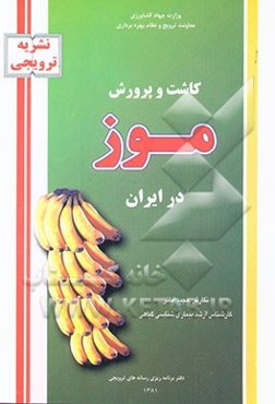 کاشت و پرورش موز در ایران