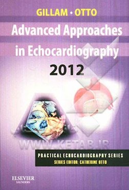 Advanced approaches in echocardiography
