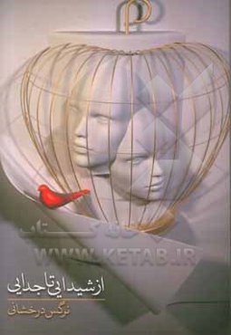 از شیدایی تا جدایی: خاطراتی که نباید تجربه می‌شد