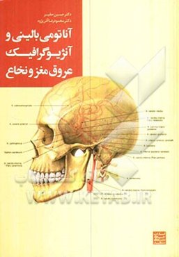 آناتومی بالینی و آنژیوگرافیک عروق مغز و نخاع