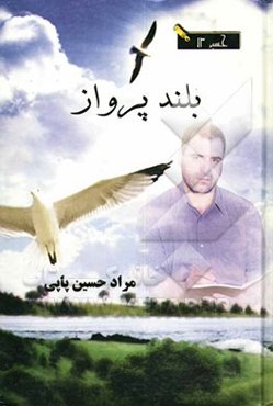 بلند پرواز (سیری در دنیای قلم، سیاست، ثروت و ...)