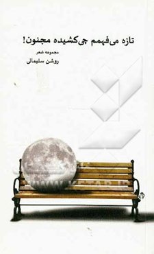 تازه می‌فهمم چی کشیده مجنون!