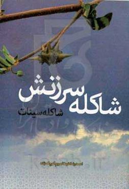 شاکله سرزنش، شاکله سیئات