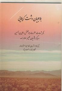 بلاجویان دشت کربلایی - ذکر شهادت حضرت ابوالفضل و علی بن الحسین و دیگر هاشمیان