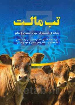 تب مالت بیماری مشترک بین انسان و دام