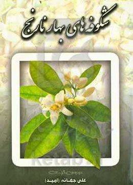 شکوفه‌های بهار نارنج