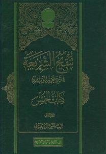 تنقیح‌الشریعه فی شرح تحریر الوسیله کتاب الخمس