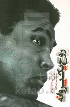 روح یک پروانه: تاملی در مسیر زندگی