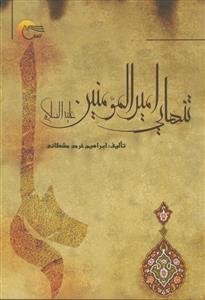فرهنگ دیوانگان: شامل زندگینامه شلم شوربا، لطایف ریش بابا و حکایت هلو هسته جدا...
