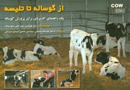 از گوساله تا تلیسه: یک راهنمای کاربردی برای پرورش گوساله