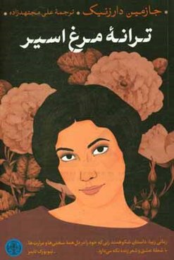 ترانه مرغ اسیر