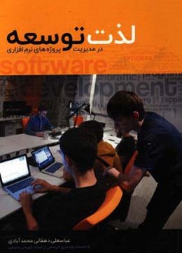 لذت توسعه: در مدیریت پروژه‌های نرم‌افزاری