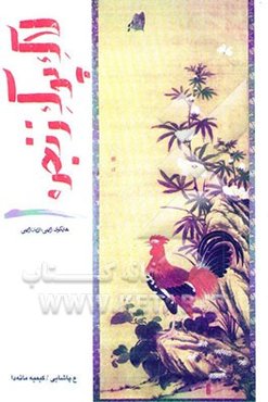لاک پوک زنجره