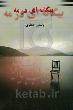 بیگانه‌ای در مه