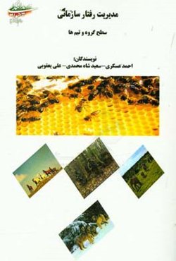 مدیریت رفتار سازمانی: سطح گروه و تیم