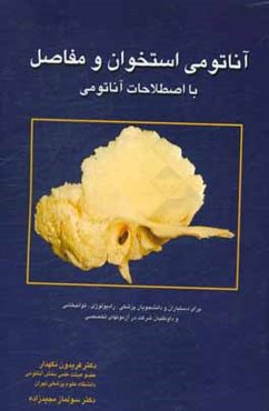 آناتومی استخوان و مفاصل