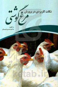 نکات کاربردی در پرورش مرغ گوشتی