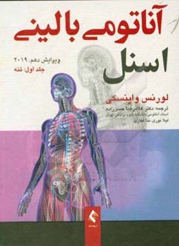 آناتومي باليني اسنل 2019: تنه