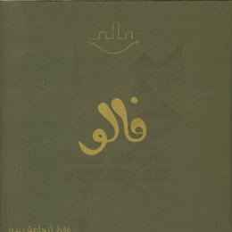 فالو (آغاز جهشی در موفقیت و درآمد نتورکرهای ایرانی)