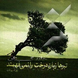 تبرها زبان درخت را نمی‌فهمند