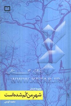 شهر من گم شده است (داستان‌هایی از غربت)