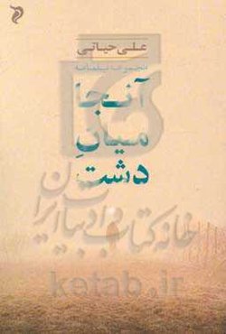 آن‌جا میان دشت: مجموعه فیلم‌نامه‌های کوتاه